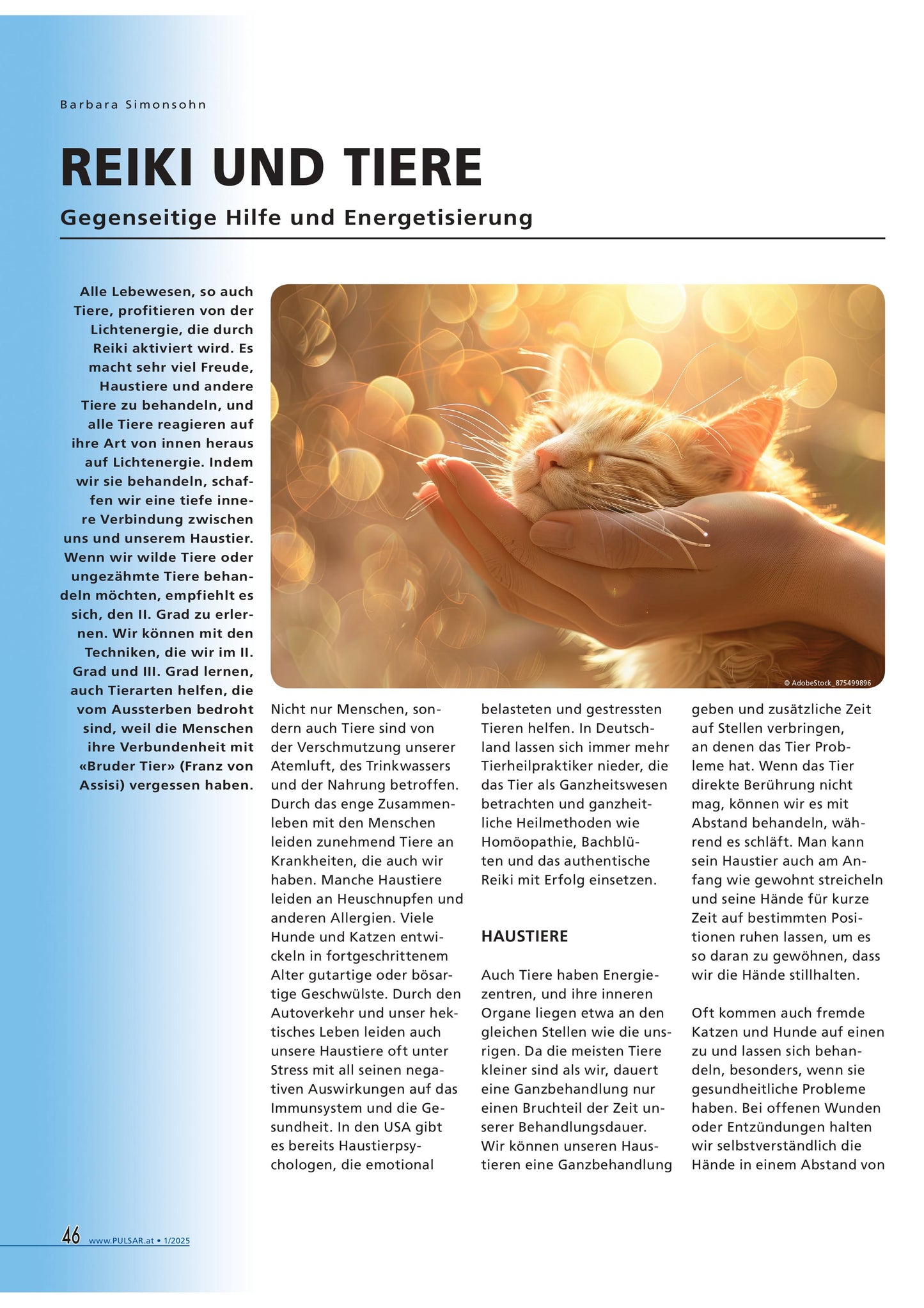 Das Authentische Reiki