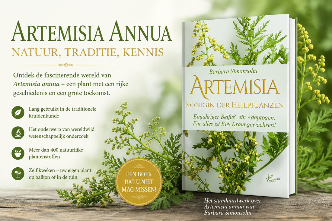 Artemisia annua – De laatste kans om deze plant van censuur te redden?