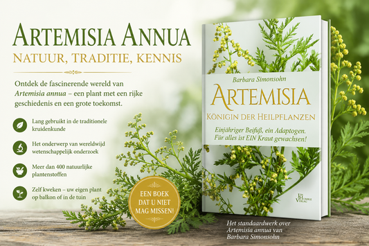 Artemisia annua – De laatste kans om deze plant van censuur te redden?