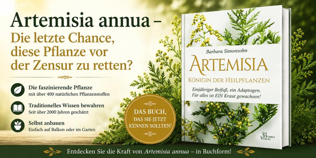 Artemisia annua – Die letzte Chance diese Pflanze vor der Zensur zu retten?