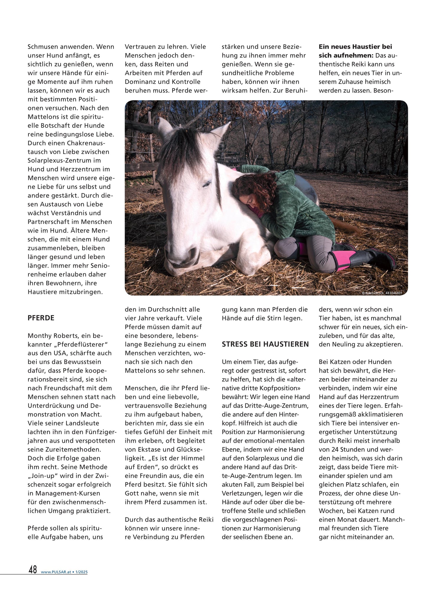 Das Authentische Reiki
